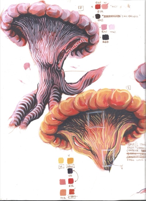 Gouache studies of two mushroom creatures, one pink and one orange, with ribbed gills, clawed feet and handwritten paint-mix notes
